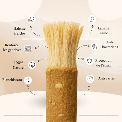 Dentifrice Miswak Charbon XXL 170g - Luvéa